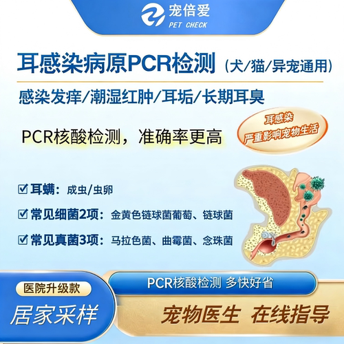 宠倍爱猫狗耳朵病原体真菌检测