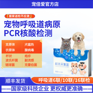宠倍爱猫狗呼吸道六联十联16联pcr支原体杯状鼻支犬瘟窝咳 送检