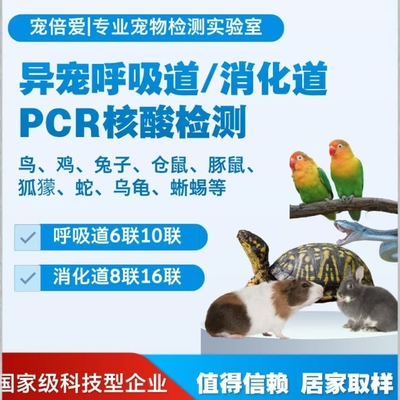 异宠呼吸道6联10联消化道16联pcr检测豚鼠仓鼠兔子龟蛇狐獴