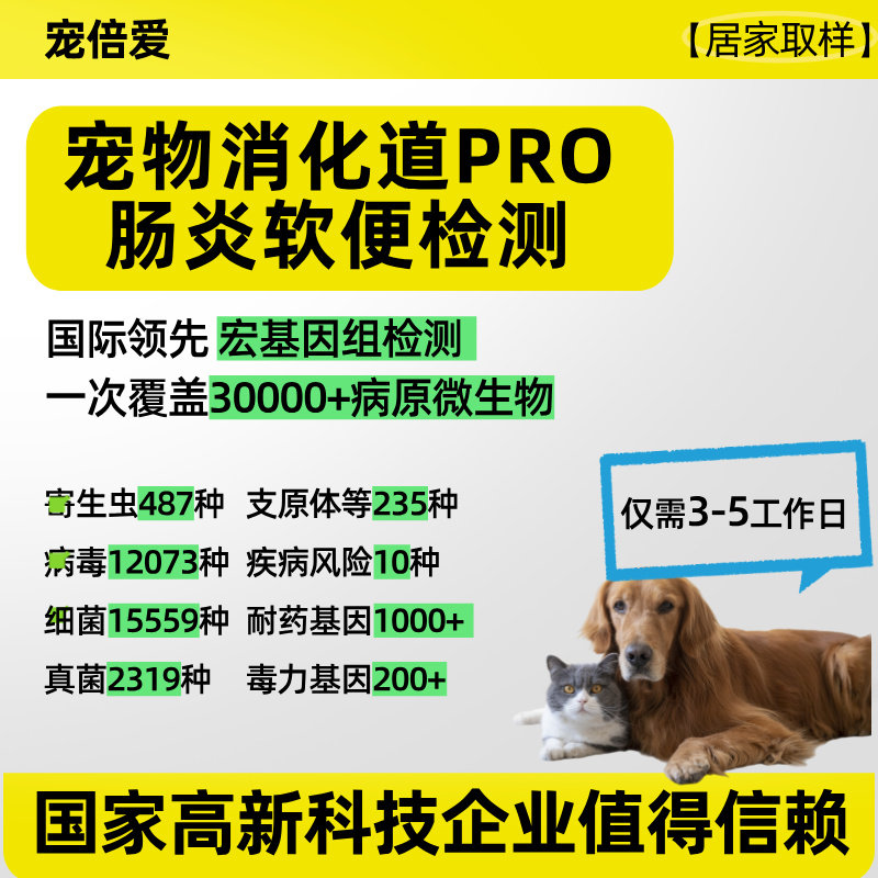宠倍爱消化道检测Pro顺丰包邮