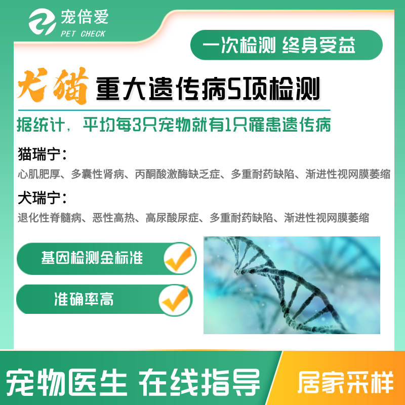猫狗心肌病检测犬猫心肌病检测