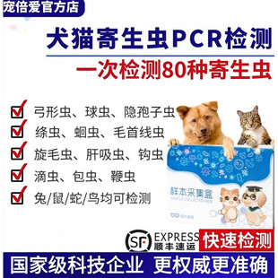 寄生虫PCR猫狗弓形虫滴虫球虫蛔虫绦虫包虫兔豚鼠便检宠倍爱送检