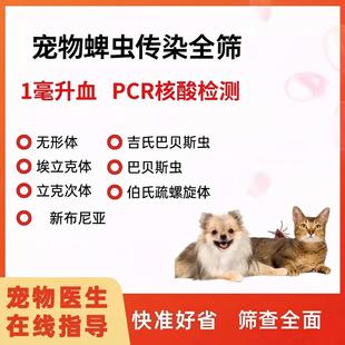 猫狗蜱虫PCR核酸检测心丝虫巴贝斯西尼罗病毒贫血检测 送检