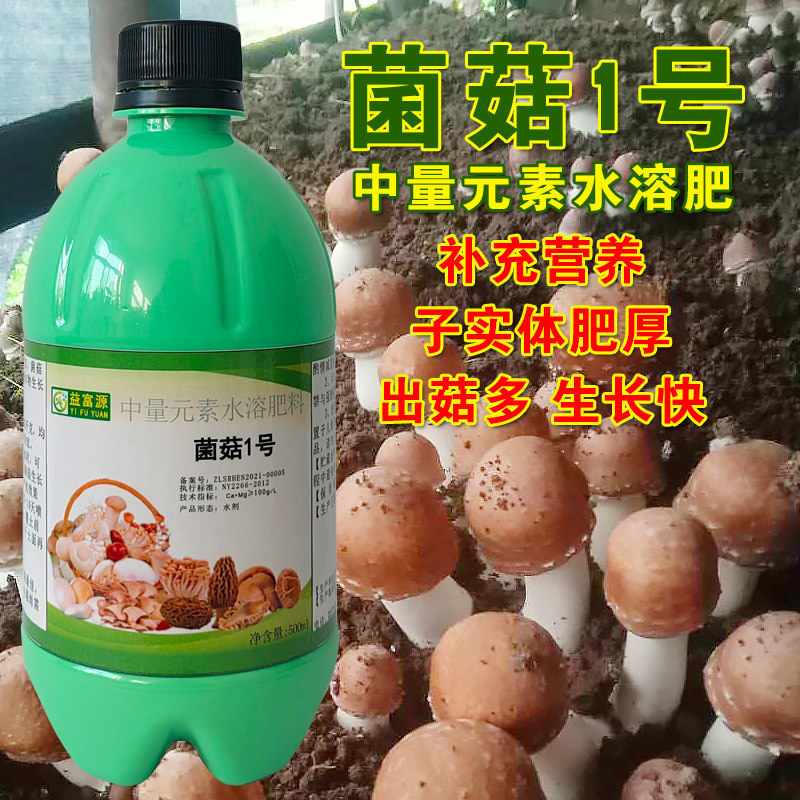 巴西菇营养液提高产量