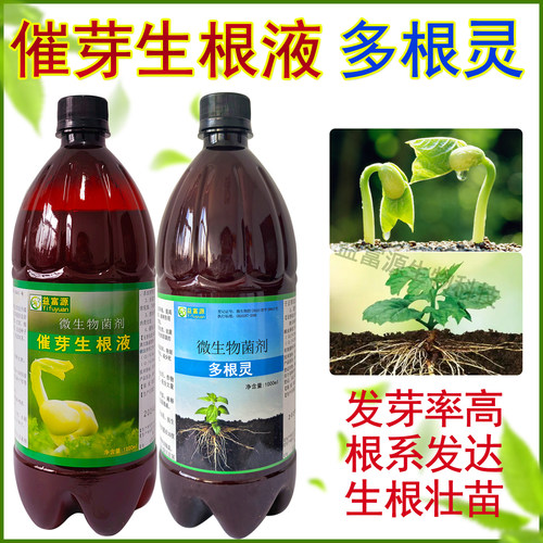 催芽生根液泡种子重楼黄精生姜催芽剂白芨育苗营养液多根灵益富源