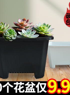 小号多肉老桩群韩式景天花盆控根黑色塑料加厚白色大口径方盆
