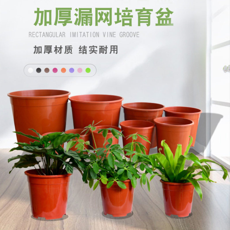 君子兰花盆塑料多肉小花盆加仑盆透气家用育苗嘉利大号直筒高花盆,鲜花速递/花卉仿真/绿植园艺,花盆,淘宝优惠券,粉丝福利购,淘宝优惠卷