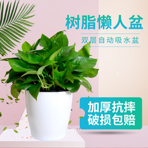简约树脂花盆自动吸水白色