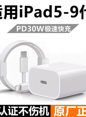 适用iPad5-9代PD30W快充充电器原装数据线套装