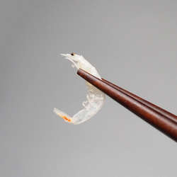 日照岚山淡干虾皮小虾米天然野生海米虾仁500g虾皮海鲜干