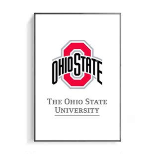 OSU挂画俄亥俄州立大学装饰画 卧室办公现代简约 卧室客厅 背景墙