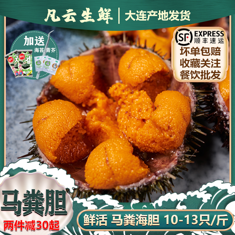 海胆鲜活早季马粪海胆10-15只/斤