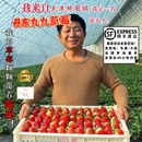 丹东99草莓新鲜东港红颜九九牛奶超大果奶油大号礼盒特产现摘现发