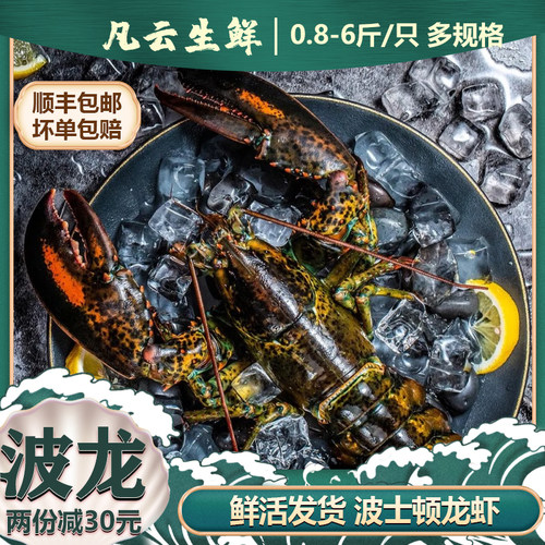 鲜活波士顿龙虾大连市5区可送货
