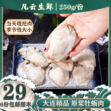 大连新鲜活生蚝肉即食现剥250g火锅食材海鲜日料去壳海蛎子肉牡蛎