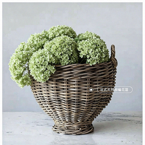 法式复古藤编花盆花篮种花养花