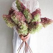 久伴天然绣球干花永生花花束真花客厅桌面装 饰摆件轻奢高级感复古