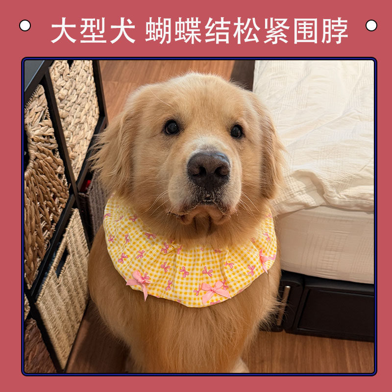 大型犬松紧围脖口水巾金毛萨摩蝴蝶结狗狗宠物可爱装饰围兜