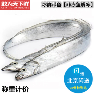 北京闪送 条 2斤 小眼睛 绝非冷冻 纯鲜新鲜海鲜 冰鲜带鱼