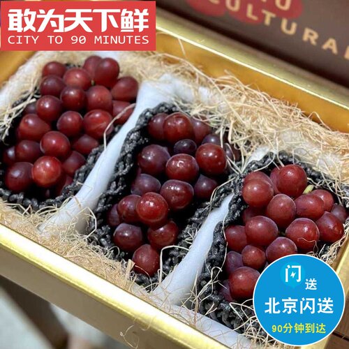 3.8斤 仅限北京闪送 荔枝香葡 果肉Q弹 无核 清新香甜 沁人心脾