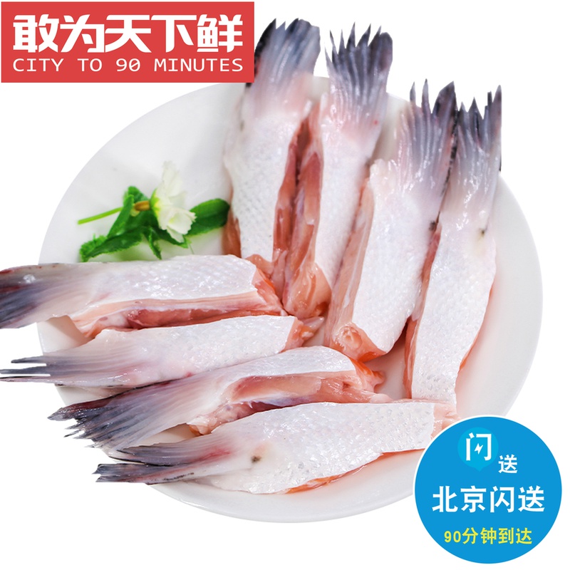 约10条500g挪威三文鱼鳍鱼翅