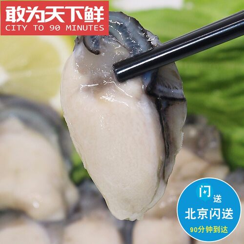 约14只 250g 北京闪送 冷冻 原浆 生蚝肉 特大牡蛎纯肉 火锅食材