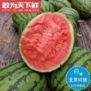 仅限北京闪送 3-4粒 15斤 庞各庄 西瓜 吊瓜 皮薄酥脆多汁 很甜