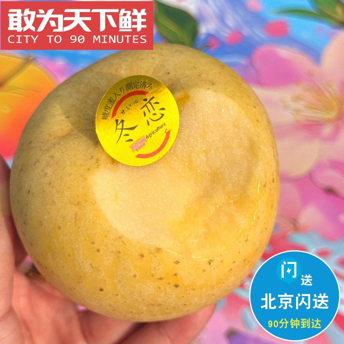 8粒 仅限北京闪送 黄金维纳斯苹果 极甜 酥脆 果香浓郁 冬恋苹果,水产肉类/新鲜蔬果/熟食,苹果,淘宝优惠券,粉丝福利购,淘宝优惠卷