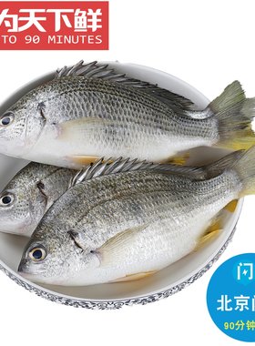 1份2条 4-5两1条 新鲜 黄翅鱼 黄立鱼 海鲜水产冰鲜 鲷鱼 黄脚立
