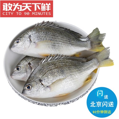 1份2条 4-5两1条 新鲜 黄翅鱼 黄立鱼 海鲜水产冰鲜 鲷鱼 黄脚立