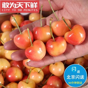 仅限北京闪送 智利 雷尼尔 金车 黄车厘子 脆甜 斯凯拉雷