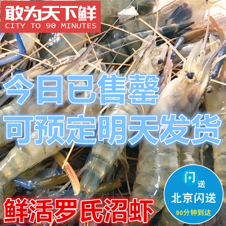 500g仅限北京闪送 新鲜鲜活 罗氏虾 大头虾金钱虾 沼虾活虾淡水虾 水产肉类/新鲜蔬果/熟食 活虾 原图主图