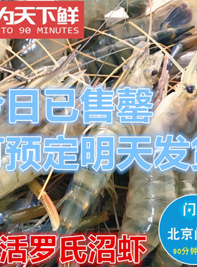 北京闪送 500g 新鲜 鲜活 罗氏虾 大头虾 金钱虾 沼虾活虾