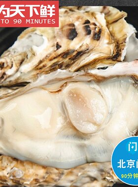 送蚝刀 10只装 北京闪送 鲜活 生蚝 牡蛎海蛎子 烧烤 海鲜水产
