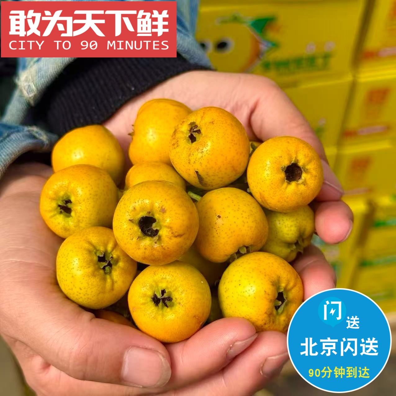 仅限北京闪送 萌小新-甜山楂 浓香糯甜 糖度明显高于酸度