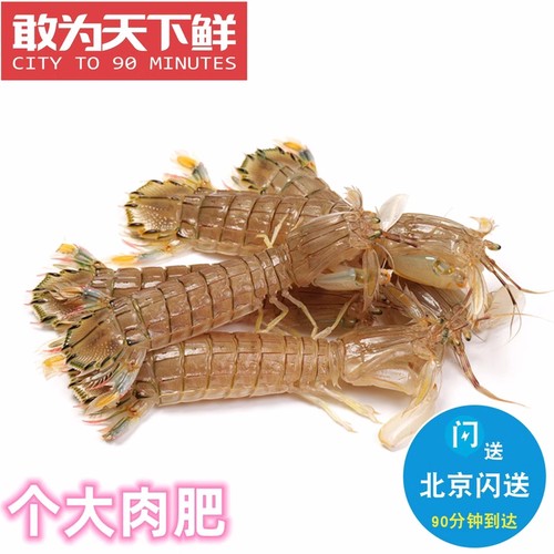 500g鲜活皮皮虾海鲜水产