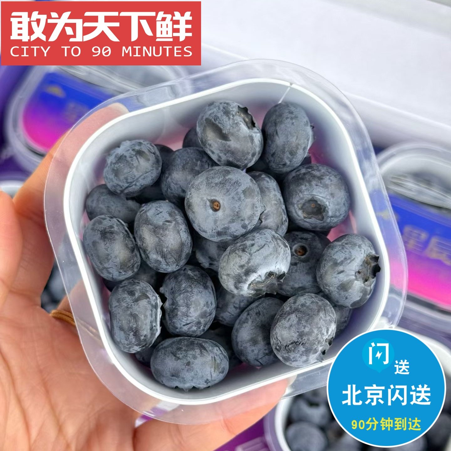 750g 仅限北京闪送BLUE CUP·精选枝串蓝莓 硬度高 果霜饱满