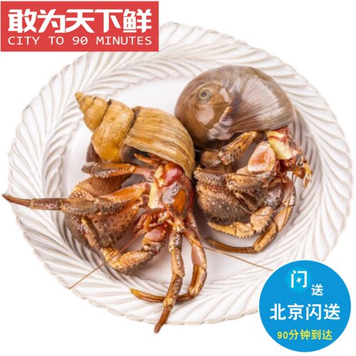 500g 7-9只 北京闪送 大连特产海鲜水产 鲜活虾怪 寄居蟹 野生 海