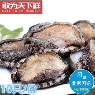 水產(chǎn) 100g 大鮑魚 鮑魚新鮮鮮活海鮮大連鮑魚 北京閃送 只 5頭鮑