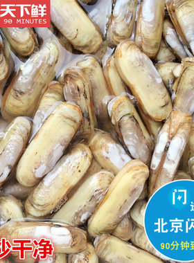 500g北京闪送鲜活蛏子 新鲜海鲜肉肥双头大蛏子花蛤无沙水产