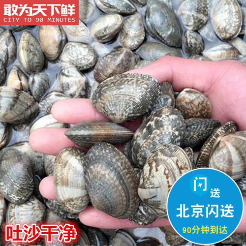 500g 北京闪送 新鲜花甲 海鲜鲜活 花蛤 蛤蜊 花蚬子 贝类 水产