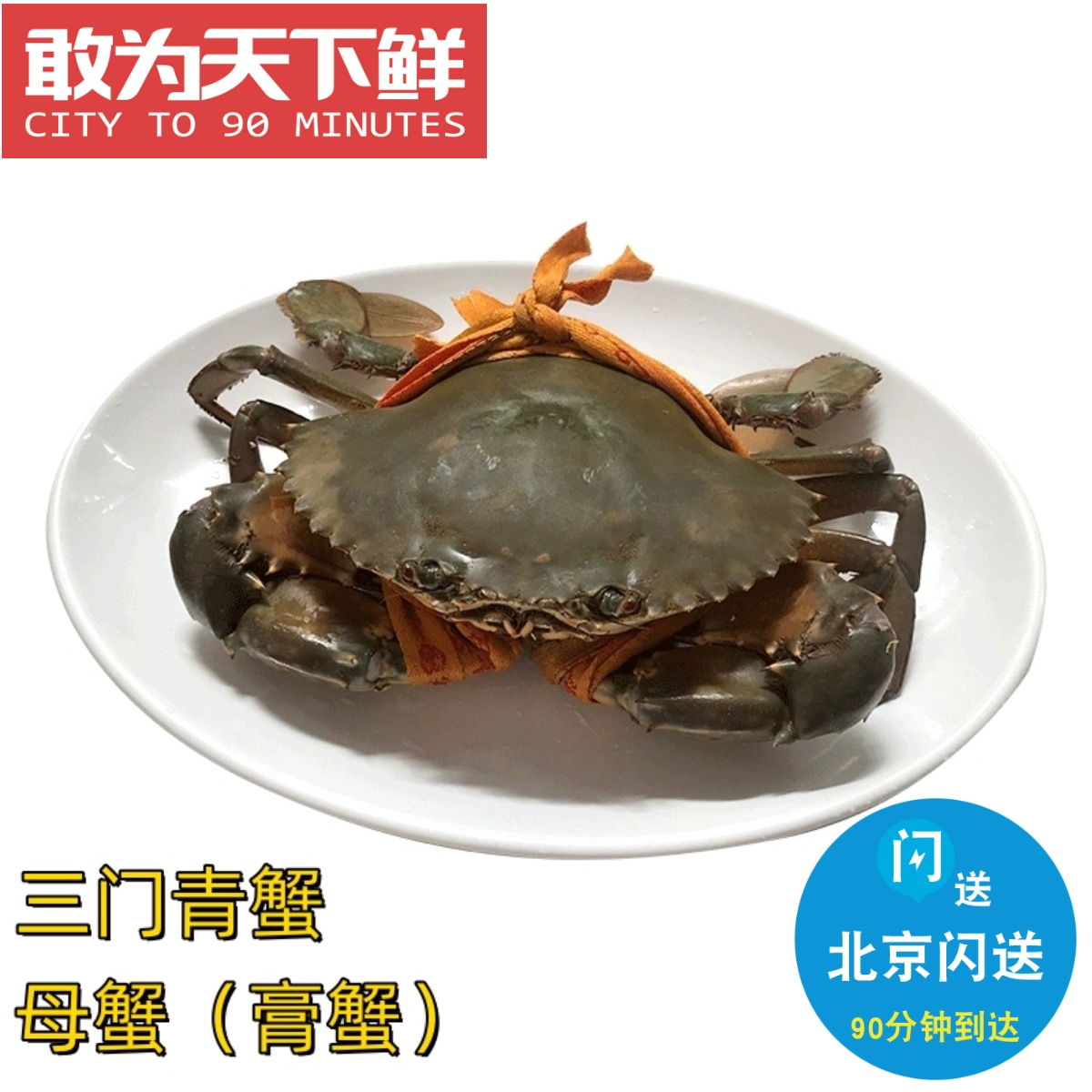 5-7两 仅限闪送 正宗三门青蟹 鲜活 母蟹 满黄满肉 膏蟹 海鲜水产