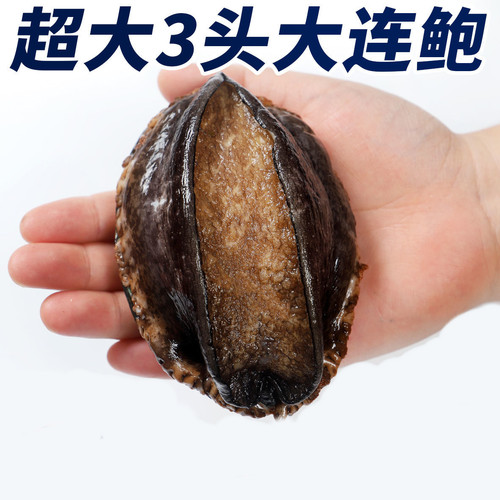 3头鲍 2头鲍 北京闪送 鲍鱼新鲜鲜活海鲜大连鲍鱼 水产 大鲍鱼