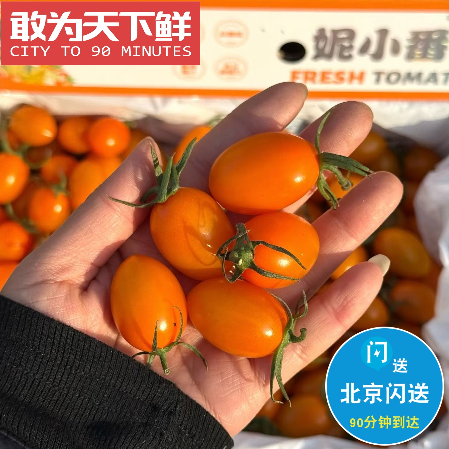 1.7斤 仅限北京闪送 妮小番·蜜橙小番茄 甜脆爆汁 好吃到爆炸