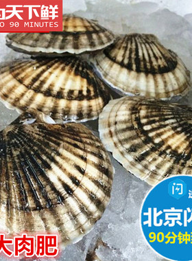 5只扇贝 3两/只 北京闪送 鲜活海鲜新鲜大连獐子岛 扇贝 水产