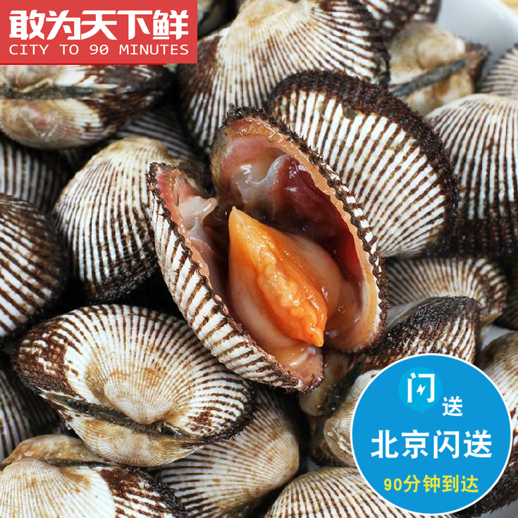 500g 北京闪送 毛蚶 新鲜毛蛤蜊海鲜 贝壳 鲜活水产 水产肉类/新鲜蔬果/熟食 其它 原图主图