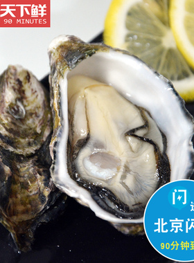 北京闪送 新西兰进口鲜活生蚝牡蛎马尔伯勒 太平洋 bluff 3只起拍