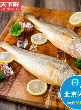 1斤1条冰鲜大黄鱼海鲜水产