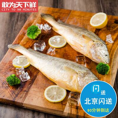 1斤1条冰鲜大黄鱼海鲜水产