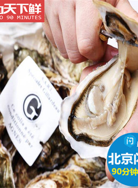 法国进口吉娜朵生蚝鲜活牡蛎